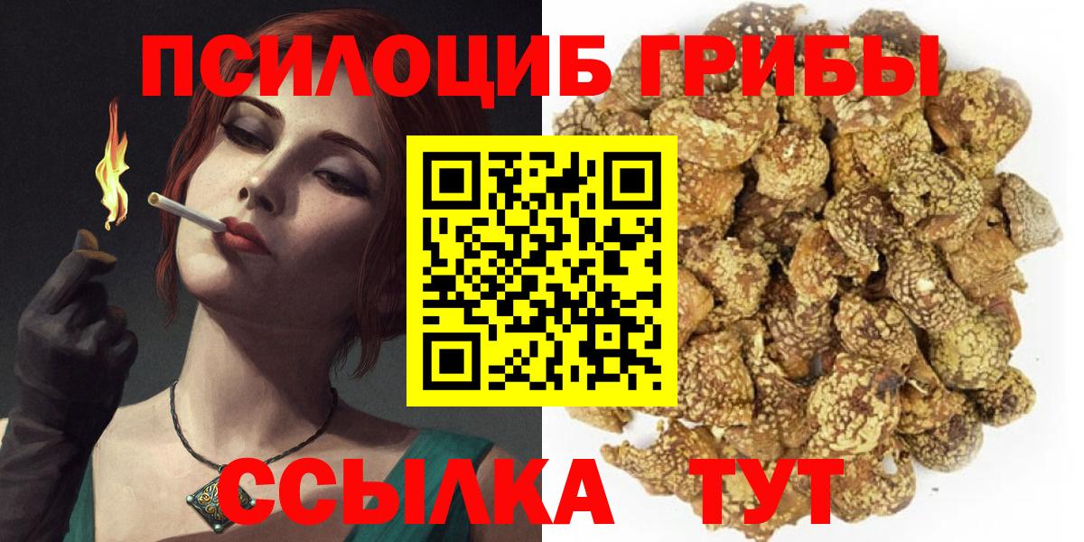 Среднеуральск  Псилоцибиновые грибы MAGIC MUSHROOMS  Вход с VPN 